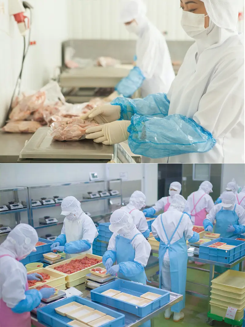 株式会社アスモ２９